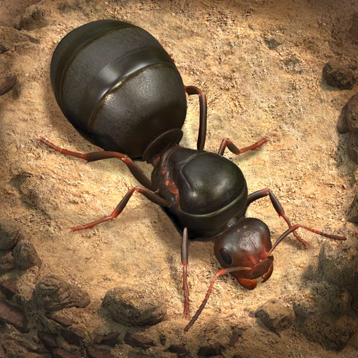 تحميل لعبة النملة الذكية Ants Underground Kingdom التحديث الجديد 2023